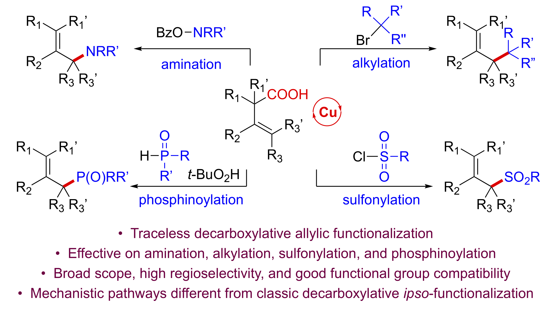 The Wang Group At Duke Chemistry