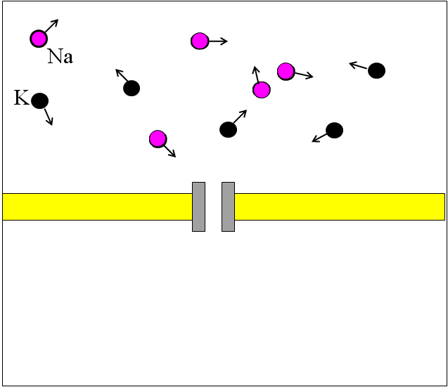 Monte Carlo simulations