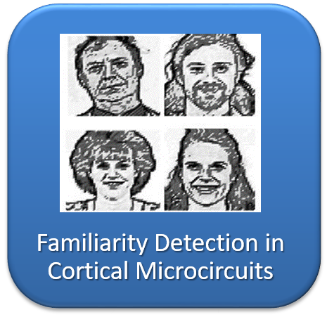 Familiarity detection in cortical microcircuits