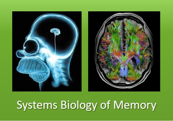 Systems Biology of Learning and Memory