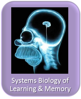 Systems biology of learning  and memory - optogenetics and multi-electrode arrays