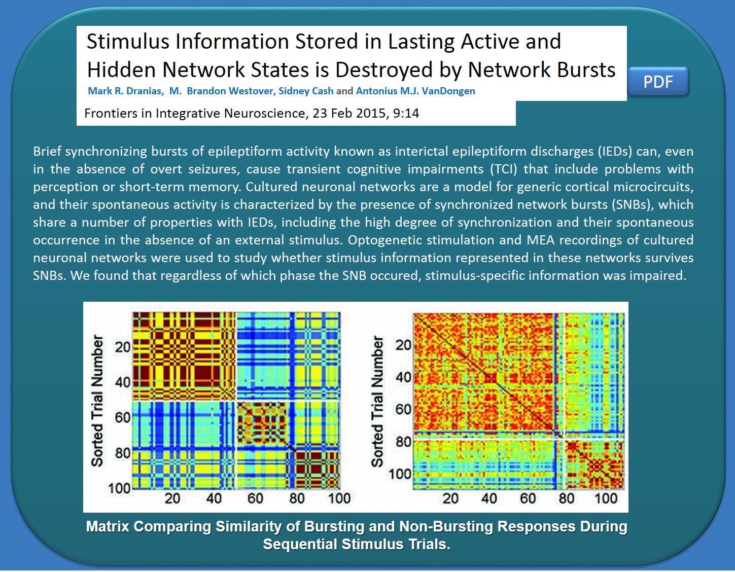 network bursts destroy stimulus information stored in active and hidden memory
