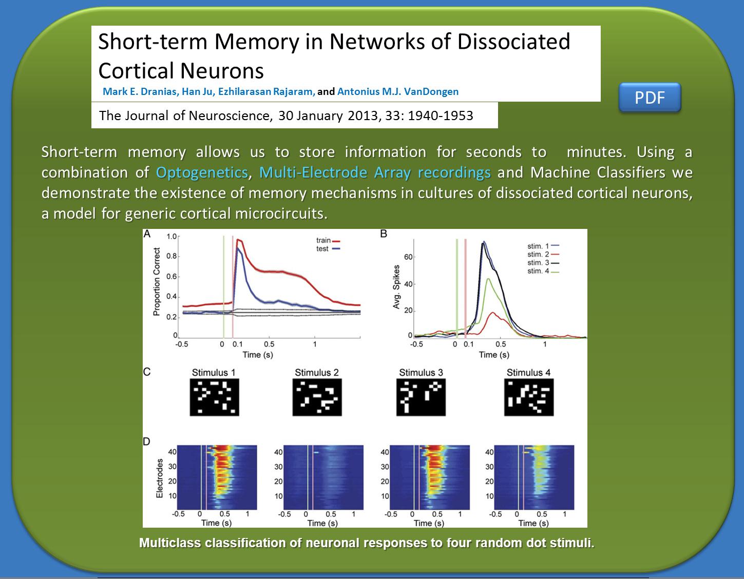 Short-term memory in networks of dissociated cortical neurons