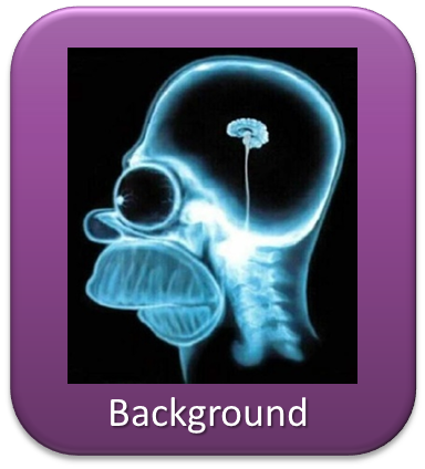 System Biology of Learning and Memory: background