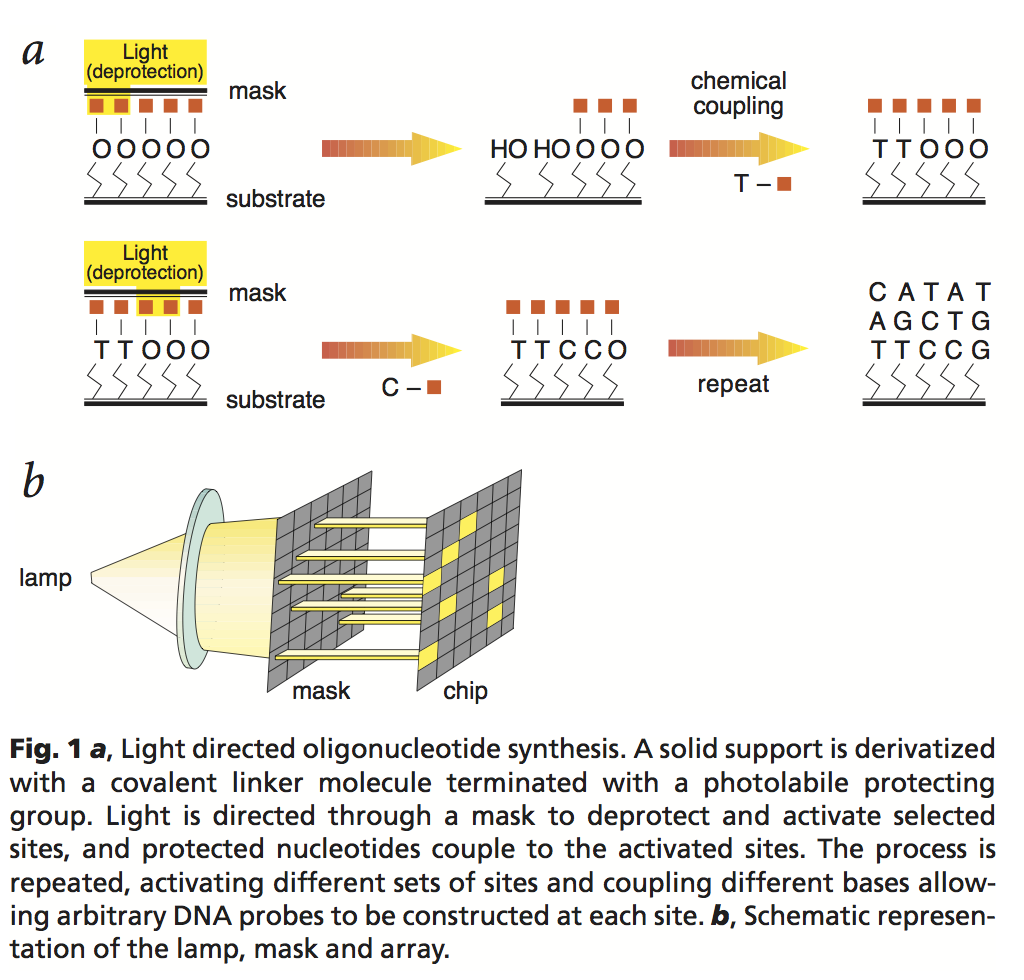 Light-directed synthesis