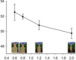 line graph with small pictures underneath