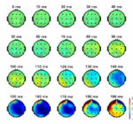 grid of colorful brain activity over time