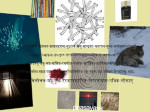 collage of images behind sanskrit text