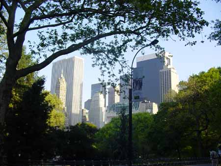 City from Central Park