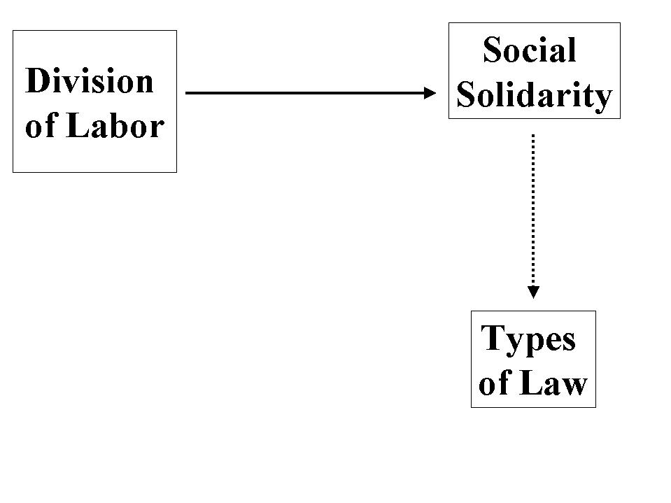 division-of-labor-definition-sociology-the-division-of-labour-in